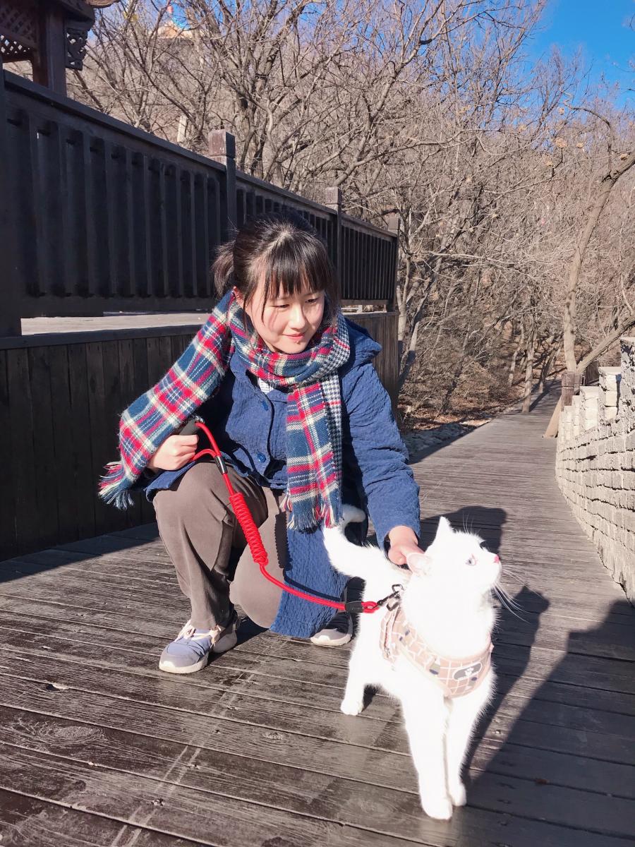 Shengruo kneels with a white cat on a leash