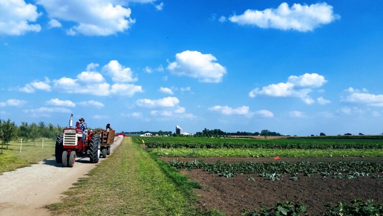 Red tractor on dirt road, next to open field with blue skies.